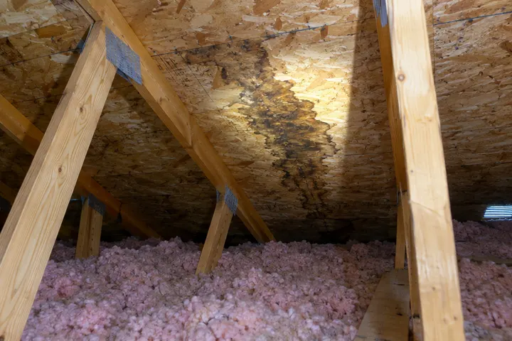 Inside a residential attic with wood trusses and insulation, a flashlight beam showing a dark water stain on the roof decking, no people