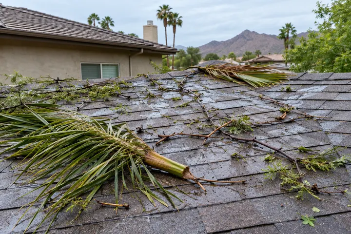 Broken palm fronds and small branches lying on a shingle roof after a storm, wet surface